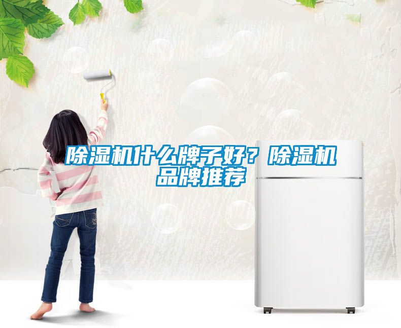 除濕機(jī)什么牌子好？除濕機(jī)品牌推薦
