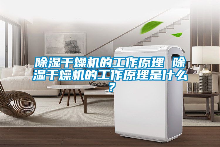 除濕干燥機的工作原理 除濕干燥機的工作原理是什么？