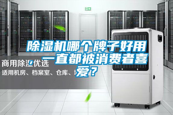 除濕機哪個牌子好用，一直都被消費者喜愛？