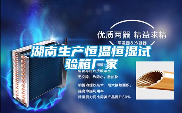 湖南生產(chǎn)恒溫恒濕試驗箱廠家