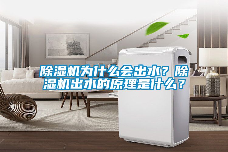 除濕機為什么會出水？除濕機出水的原理是什么？