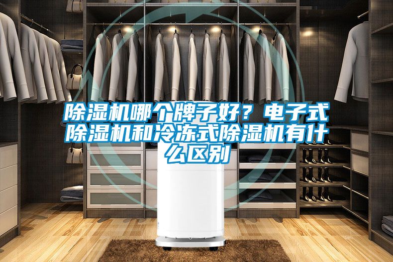 除濕機哪個牌子好？電子式除濕機和冷凍式除濕機有什么區(qū)別