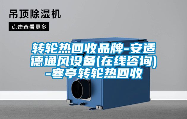 轉(zhuǎn)輪熱回收品牌-安適德通風設備(在線咨詢)-寒亭轉(zhuǎn)輪熱回收