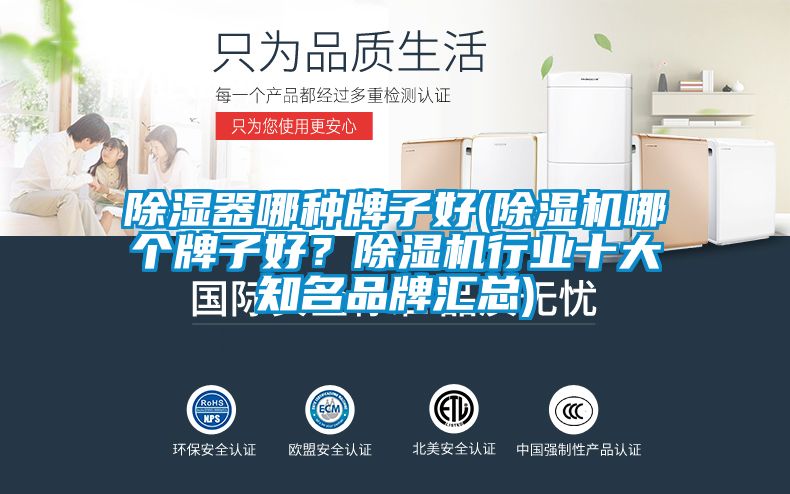 除濕器哪種牌子好(除濕機(jī)哪個(gè)牌子好？除濕機(jī)行業(yè)十大知名品牌匯總)