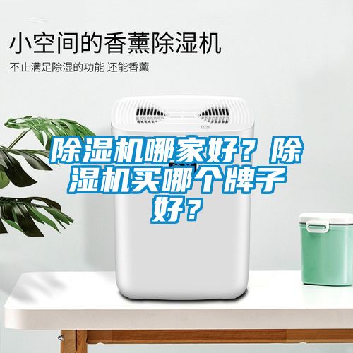 除濕機(jī)哪家好？除濕機(jī)買哪個牌子好？