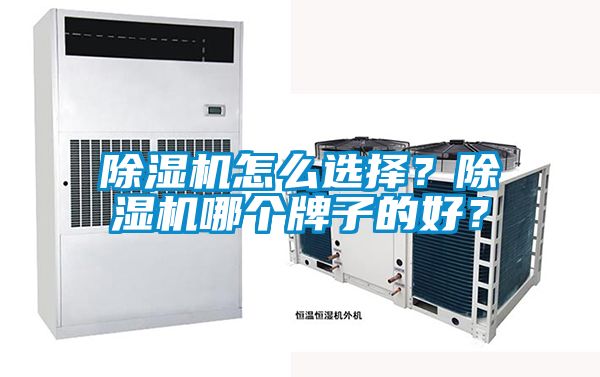 除濕機怎么選擇？除濕機哪個牌子的好？
