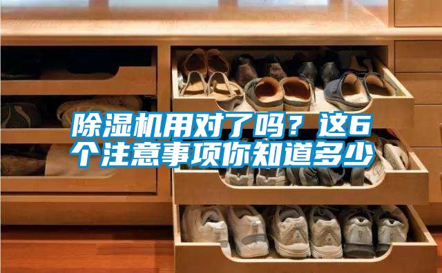 除濕機用對了嗎？這6個注意事項你知道多少