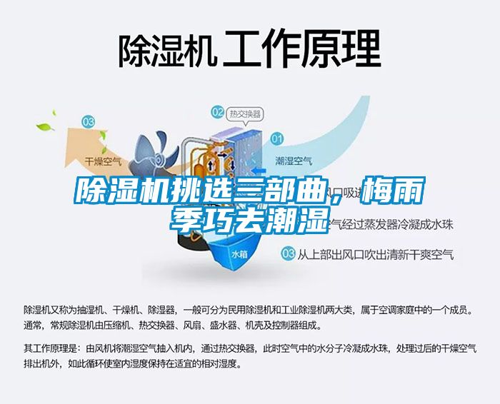 除濕機(jī)挑選三部曲，梅雨季巧去潮濕