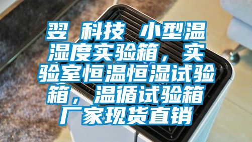 翌昇科技 小型溫濕度實驗箱，實驗室恒溫恒濕試驗箱，溫循試驗箱廠家現(xiàn)貨直銷