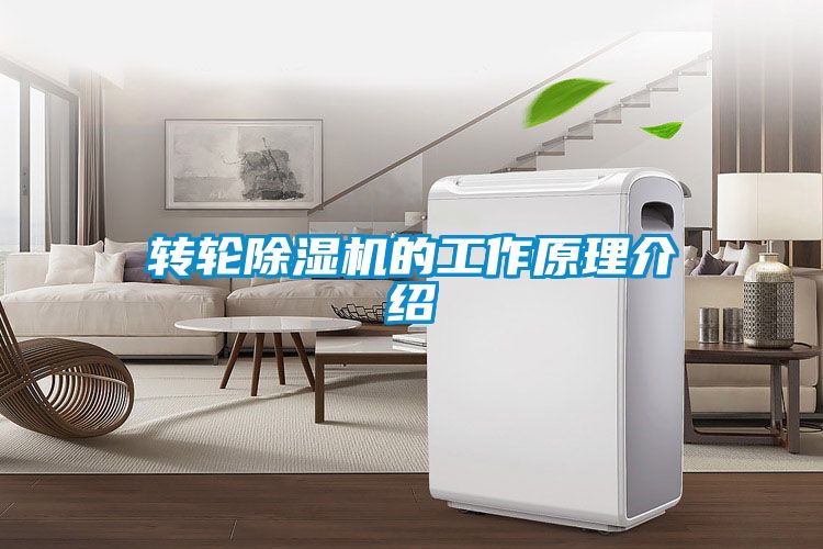 轉(zhuǎn)輪除濕機的工作原理介紹
