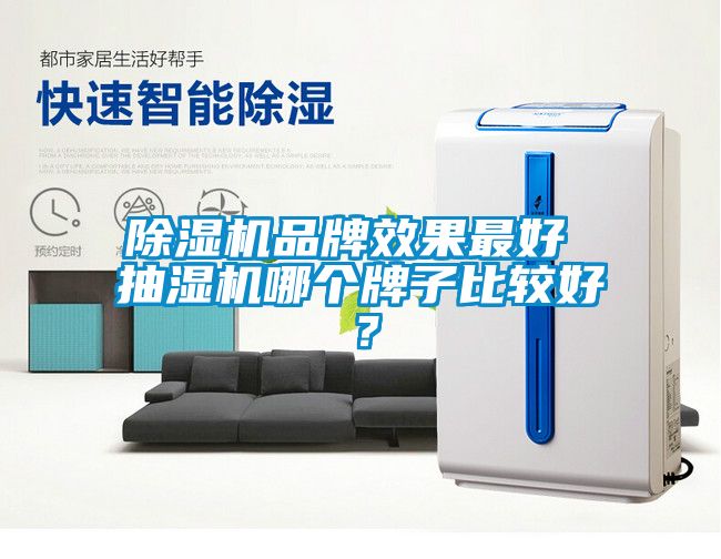 除濕機品牌效果最好 抽濕機哪個牌子比較好？