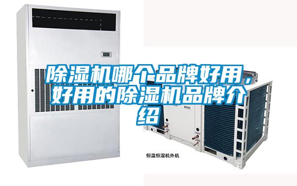除濕機(jī)哪個品牌好用，好用的除濕機(jī)品牌介紹
