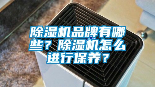 除濕機品牌有哪些？除濕機怎么進行保養？