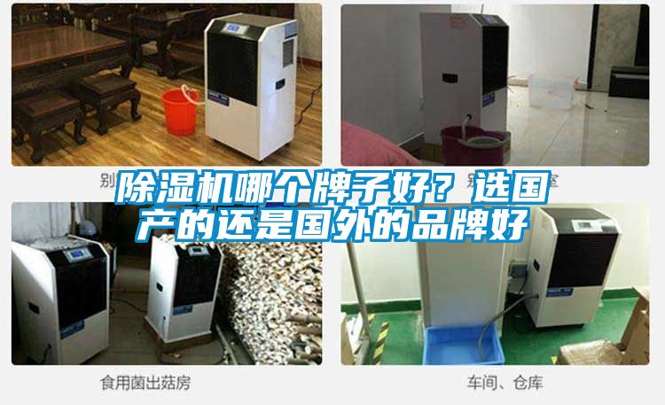 除濕機哪個牌子好？選國產(chǎn)的還是國外的品牌好