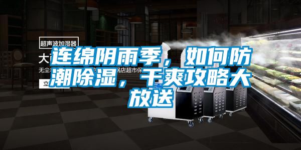 連綿陰雨季，如何防潮除濕，干爽攻略大放送