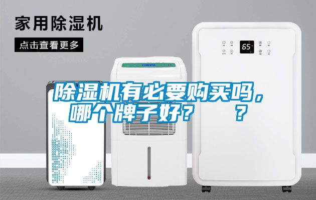 除濕機有必要購買嗎，哪個牌子好？  ？