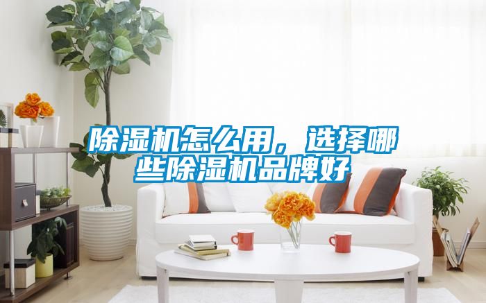 除濕機(jī)怎么用，選擇哪些除濕機(jī)品牌好