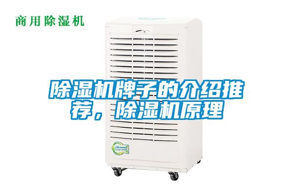 除濕機(jī)牌子的介紹推薦，除濕機(jī)原理