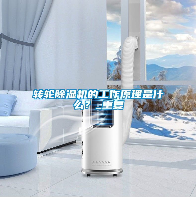 轉(zhuǎn)輪除濕機(jī)的工作原理是什么？_重復(fù)