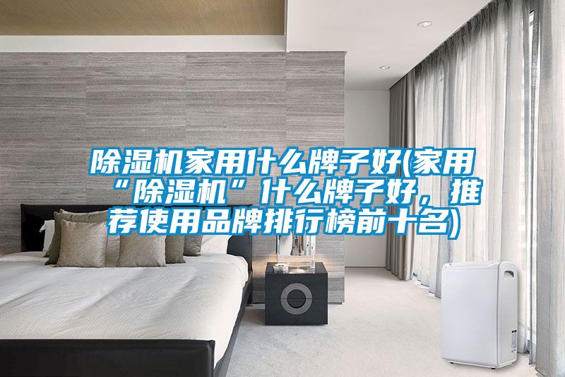 除濕機(jī)家用什么牌子好(家用“除濕機(jī)”什么牌子好，推薦使用品牌排行榜前十名)