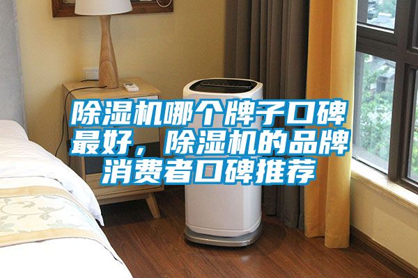 除濕機哪個牌子口碑最好，除濕機的品牌消費者口碑推薦