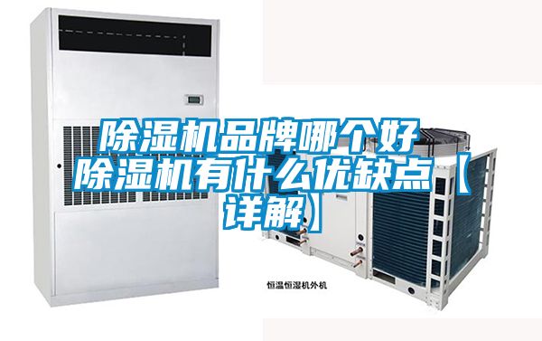 除濕機品牌哪個好 除濕機有什么優(yōu)缺點【詳解】