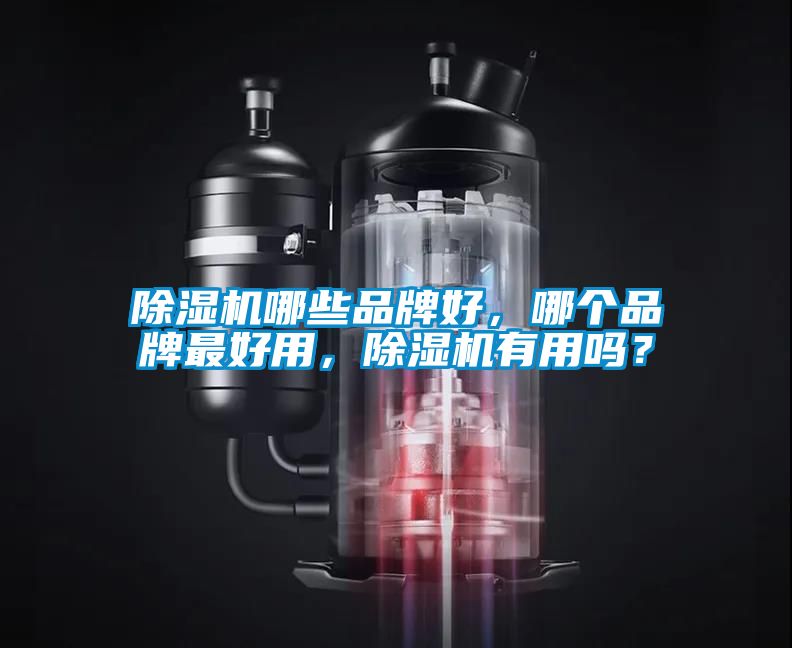 除濕機哪些品牌好，哪個品牌最好用，除濕機有用嗎？