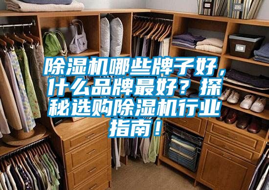 除濕機哪些牌子好，什么品牌最好？探秘選購除濕機行業(yè)指南！