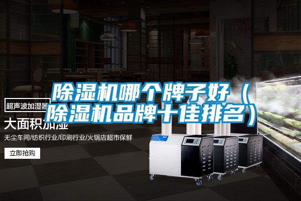 除濕機哪個牌子好（除濕機品牌十佳排名）