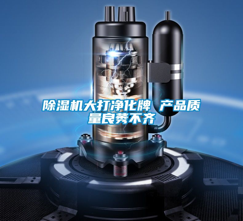 除濕機大打凈化牌 產品質量良莠不齊