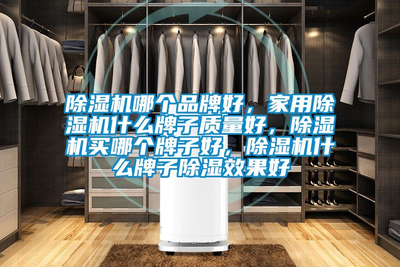 除濕機(jī)哪個(gè)品牌好，家用除濕機(jī)什么牌子質(zhì)量好，除濕機(jī)買哪個(gè)牌子好，除濕機(jī)什么牌子除濕效果好