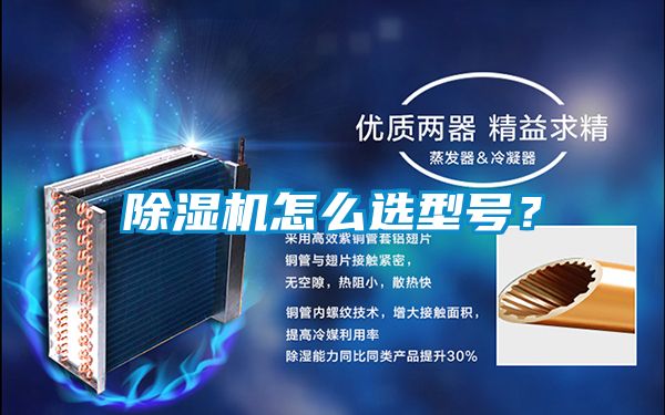 除濕機(jī)怎么選型號(hào)？
