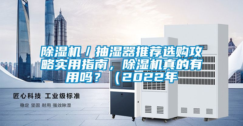 除濕機(jī)／抽濕器推薦選購攻略實用指南，除濕機(jī)真的有用嗎？（2022年