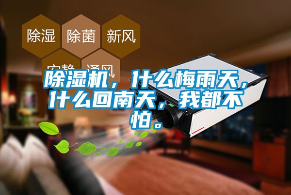 除濕機(jī)，什么梅雨天，什么回南天，我都不怕。