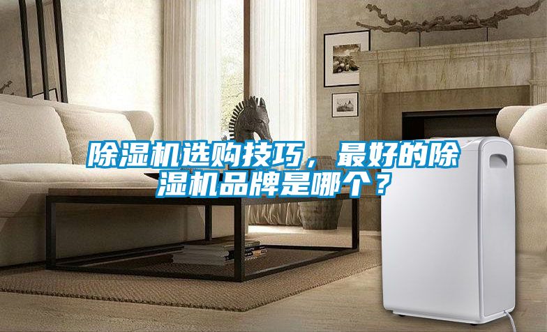 除濕機選購技巧，最好的除濕機品牌是哪個？