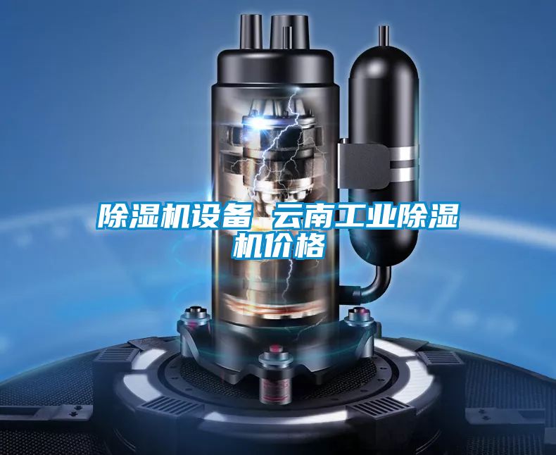 除濕機(jī)設(shè)備 云南工業(yè)除濕機(jī)價格