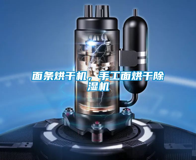 面條烘干機(jī)，手工面烘干除濕機(jī)