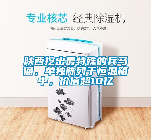 陜西挖出最特殊的兵馬俑，單獨陳列于恒溫箱中，價值超10億