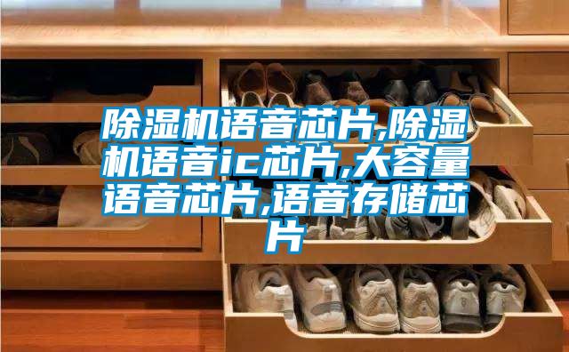 除濕機(jī)語(yǔ)音芯片,除濕機(jī)語(yǔ)音ic芯片,大容量語(yǔ)音芯片,語(yǔ)音存儲(chǔ)芯片