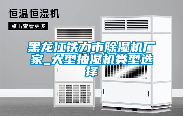 黑龍江鐵力市除濕機(jī)廠家_大型抽濕機(jī)類(lèi)型選擇