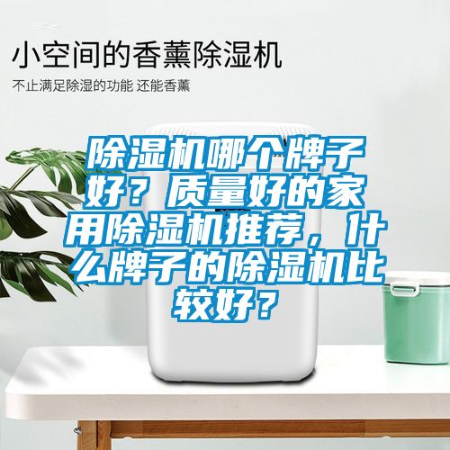 除濕機(jī)哪個牌子好？質(zhì)量好的家用除濕機(jī)推薦，什么牌子的除濕機(jī)比較好？