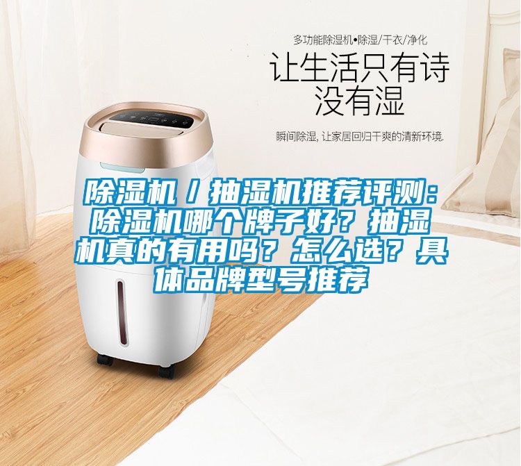 除濕機(jī)／抽濕機(jī)推薦評(píng)測(cè)：除濕機(jī)哪個(gè)牌子好？抽濕機(jī)真的有用嗎？怎么選？具體品牌型號(hào)推薦
