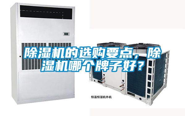 除濕機的選購要點，除濕機哪個牌子好？