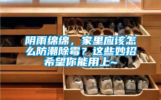 陰雨綿綿，家里應(yīng)該怎么防潮除霉？這些妙招希望你能用上~