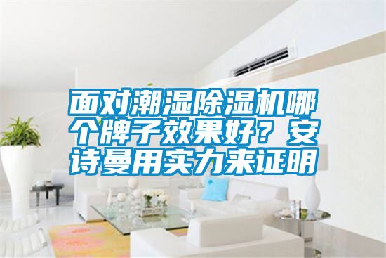 面對潮濕除濕機(jī)哪個牌子效果好？安詩曼用實(shí)力來證明