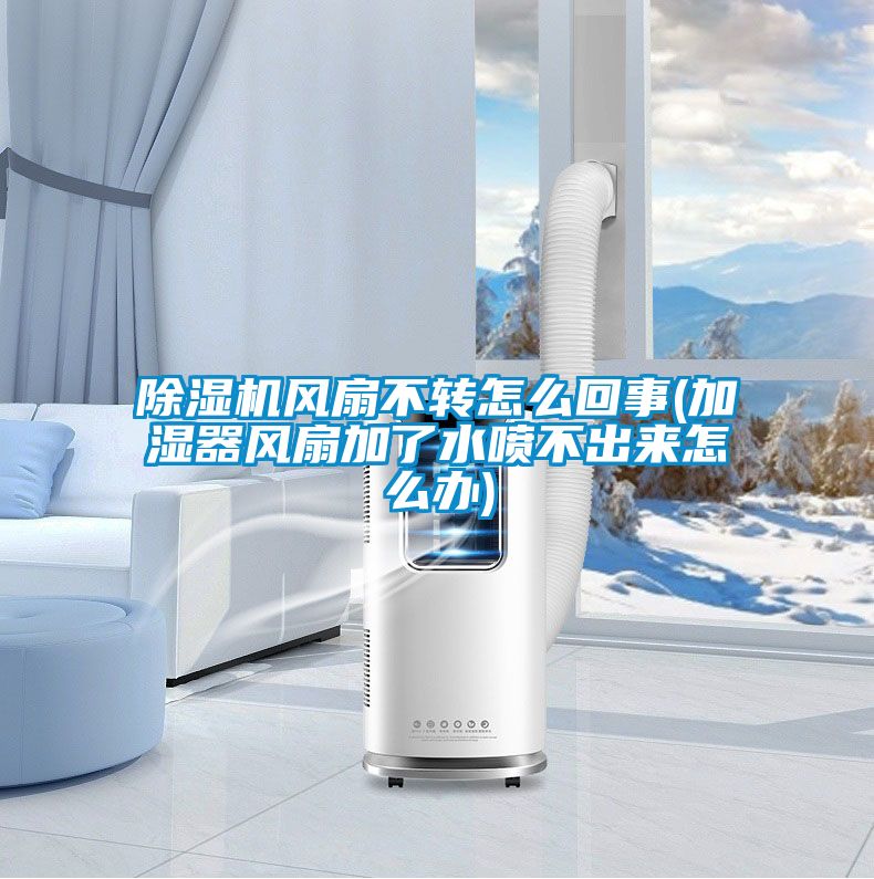 除濕機(jī)風(fēng)扇不轉(zhuǎn)怎么回事(加濕器風(fēng)扇加了水噴不出來怎么辦)