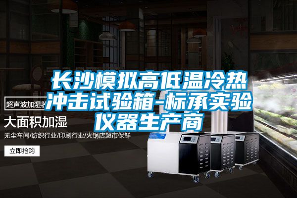 長沙模擬高低溫冷熱沖擊試驗箱-標承實驗儀器生產(chǎn)商