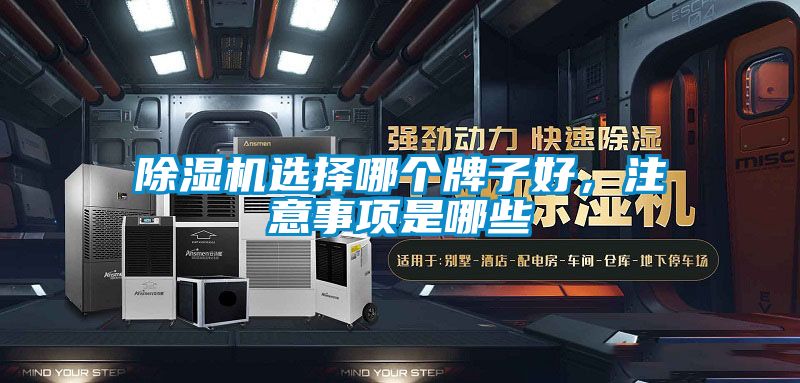 除濕機(jī)選擇哪個(gè)牌子好，注意事項(xiàng)是哪些