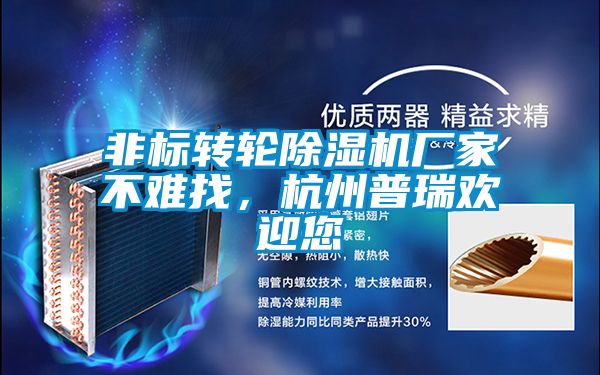 非標轉(zhuǎn)輪除濕機廠家不難找，杭州普瑞歡迎您