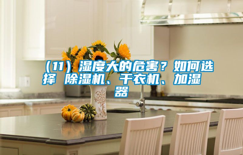 （11）濕度大的危害？如何選擇 除濕機(jī)、干衣機(jī)、加濕器